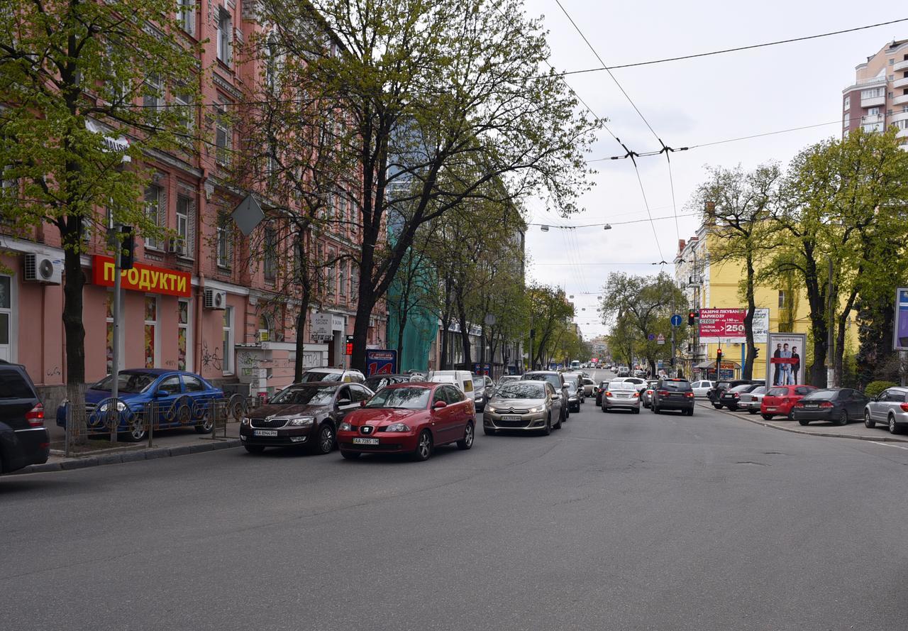 Квартира По Улице Сечевых Стрельцов,14А 키예프 외부 사진